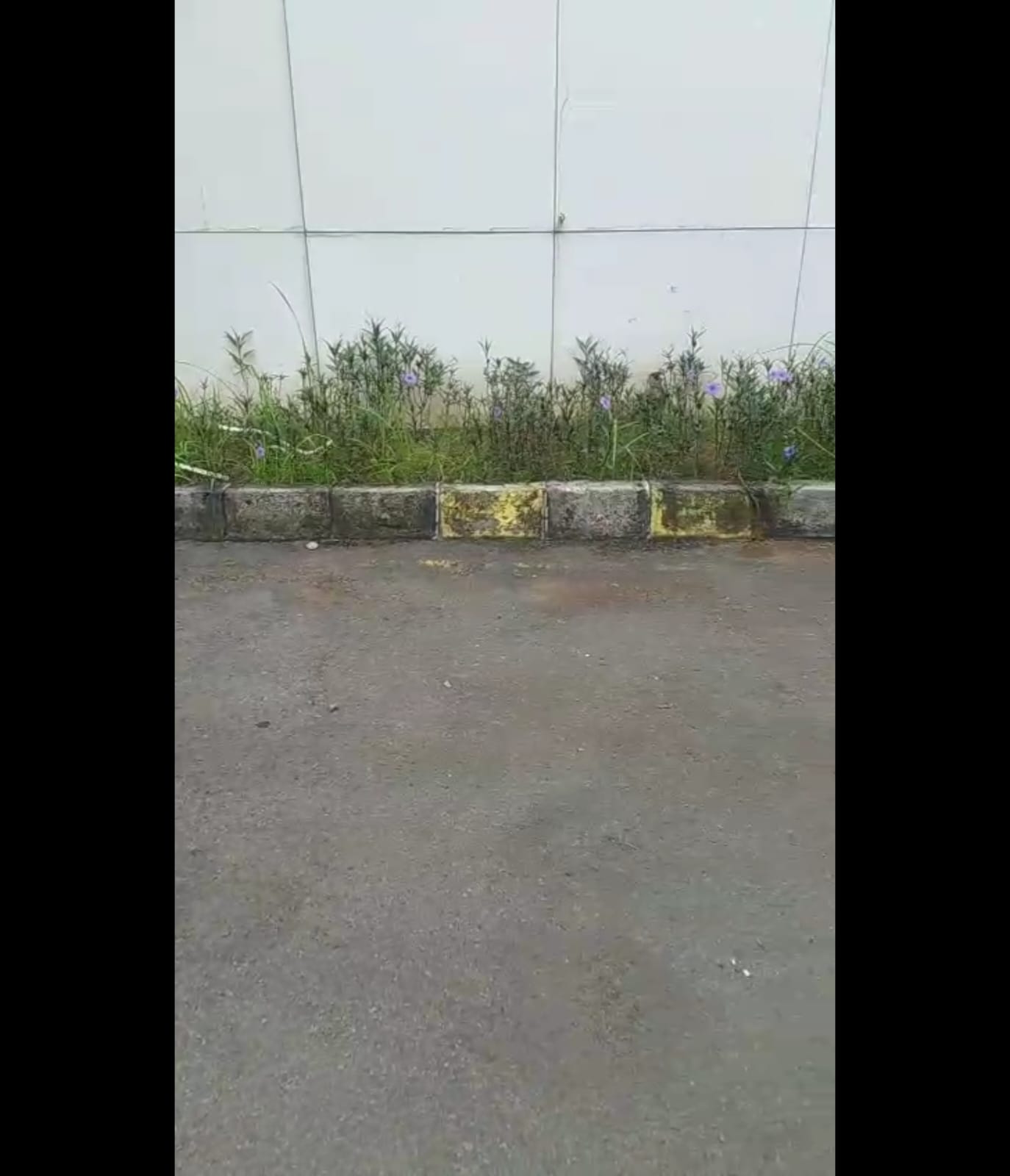 Gudang disewakan di Kawasan Jababeka